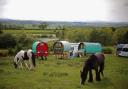 Scottish Government urged to apologise to Gypsy Travellers for historic injustices