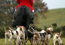 The Scottish Parliament passed the Hunting With Dogs (Scotland) Bill