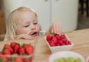 New research has found that toddlers eat more vegetables if they are rewarded for trying them