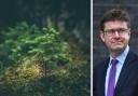 Charities from across the UK have written to Tory minister Greg Clark outlining environmental concerns about the Levelling Up Bill
