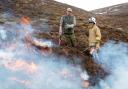 The burning of heather on grouse moors helps increase the number of grouse available for shooting but is damaging to the environment