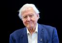The Wild Isles series is narrated by David Attenborough, who has worked for the BBC since the 1950s