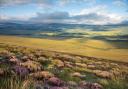 Langholm Moor shows the potential for land reform initiatives in Scotland, say campaigners
