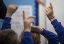 'Last year, only 20% of newly qualified primary teachers had a job the September after becoming fully qualified'