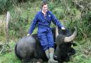 Stevie Mitchell and his buffalo featured on This Farming Life