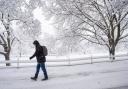 A pedestrian walks beneath snow-laden trees