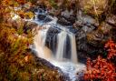 Rogie Falls is a popular spot with walkers and is known as a place to watch salmon leap