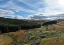 The site in the Scottish Borders is set to host 14 wind turbines