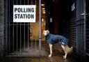 A YouGov poll in April found that 30% of 18–24-year-olds across the UK did not know they had to bring photo ID to vote