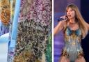 The V&A museum in Dundee hope to gift the kimono to Taylor Swift