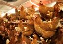 Case of bird flu confirmed in Scottish flock of free-range hens