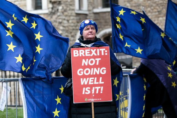 The National: LONDON, ENGLAND - MARCH 13: Anti-Brexit protesters demonstrate outside the Houses of Parliament on March 13, 2019 in London, England. Last night MPs voted 242 to 391 against British Prime Minister Theresa May's Brexit deal in the second meaningful