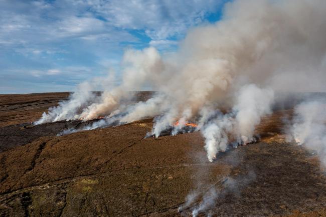 Heather is set alight on peatlands in the North York Moors National Park for grouse-shooting.
