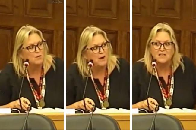 Labour politician Karen Constantine couldn't believe what she was hearing