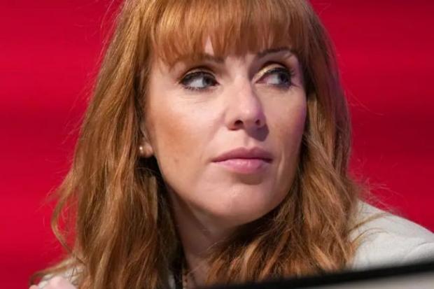 The National: Angela Rayner has slammed Conservative ministers (Image: PA).