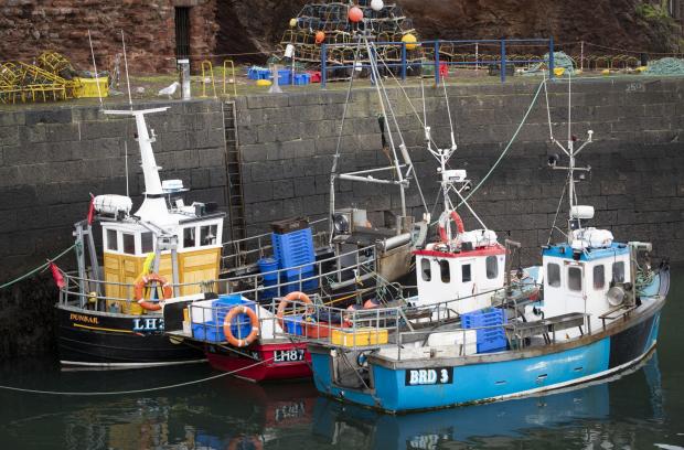 The National: Fishing boats moored in Dunbar Harbour, East Lothian. Picture date: Tuesday January 19, 2021. PA Photo. Exports of fresh fish and seafood have been severely disrupted by delays since the UK's transition period ended. New checks and paperwork are