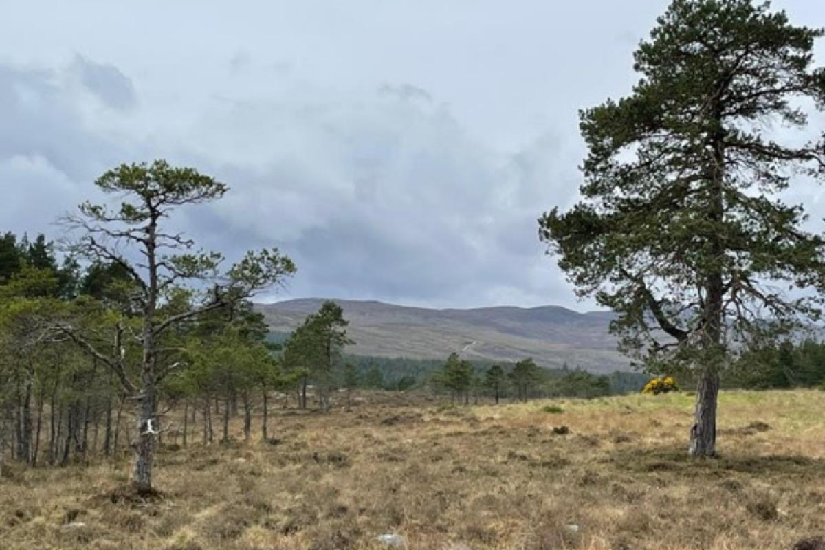 Scotland's natural assets should be for the benefit of the people who live on the land, experts say