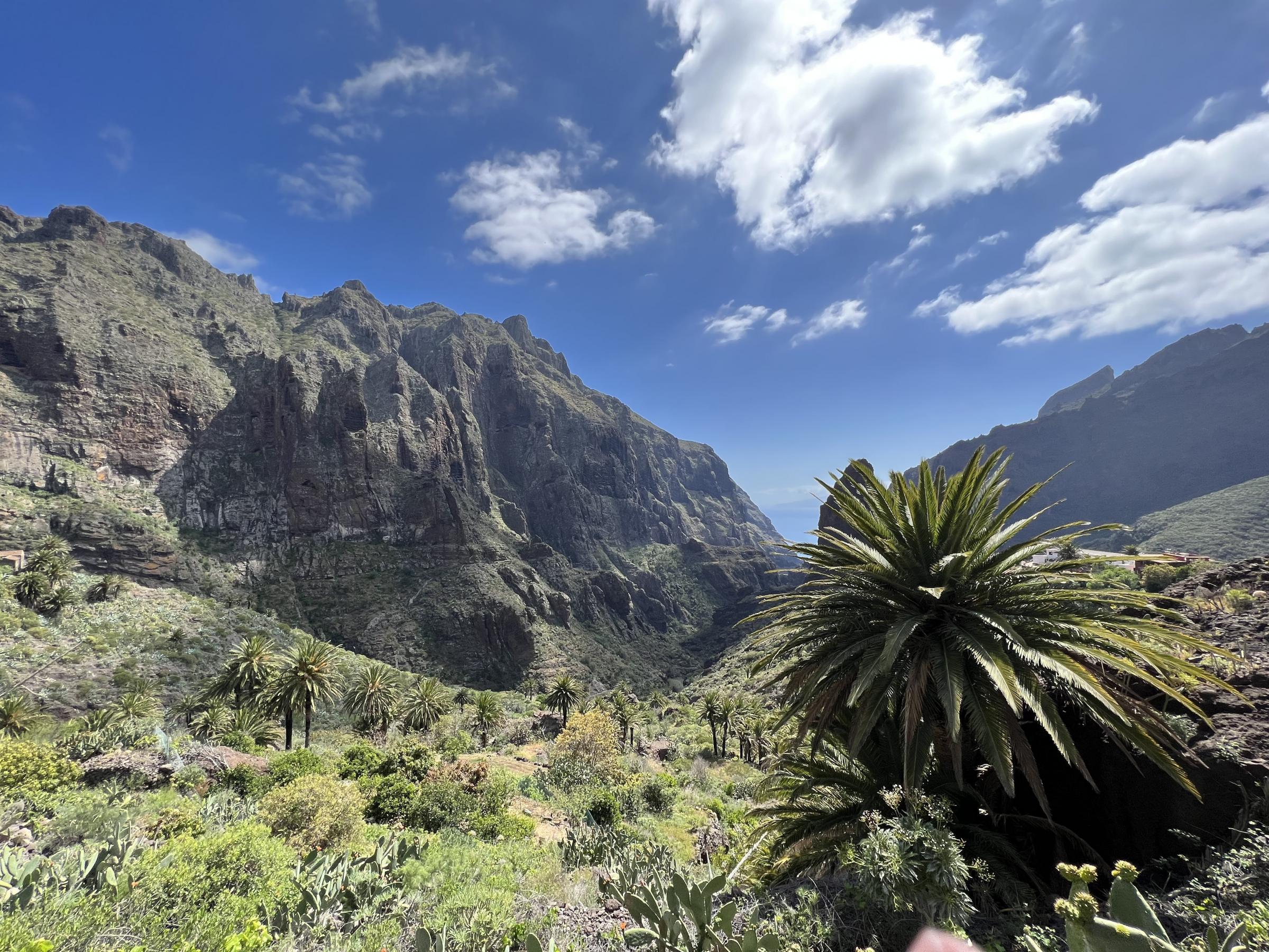 Tenerife: La isla española rodeada de salinidad tiene conexiones escocesas más allá de la bandera