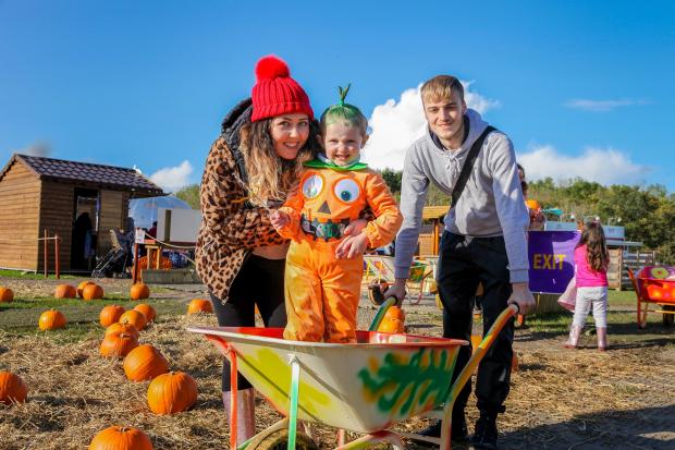 M&Ds to host popular Pumpkin Outdoor Festival this October - how to get tickets