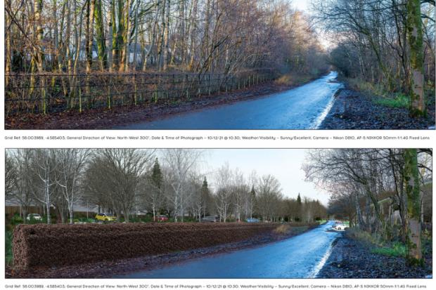 The National: Other images appear to show trees being cut down to make way for parking on Pier Road South