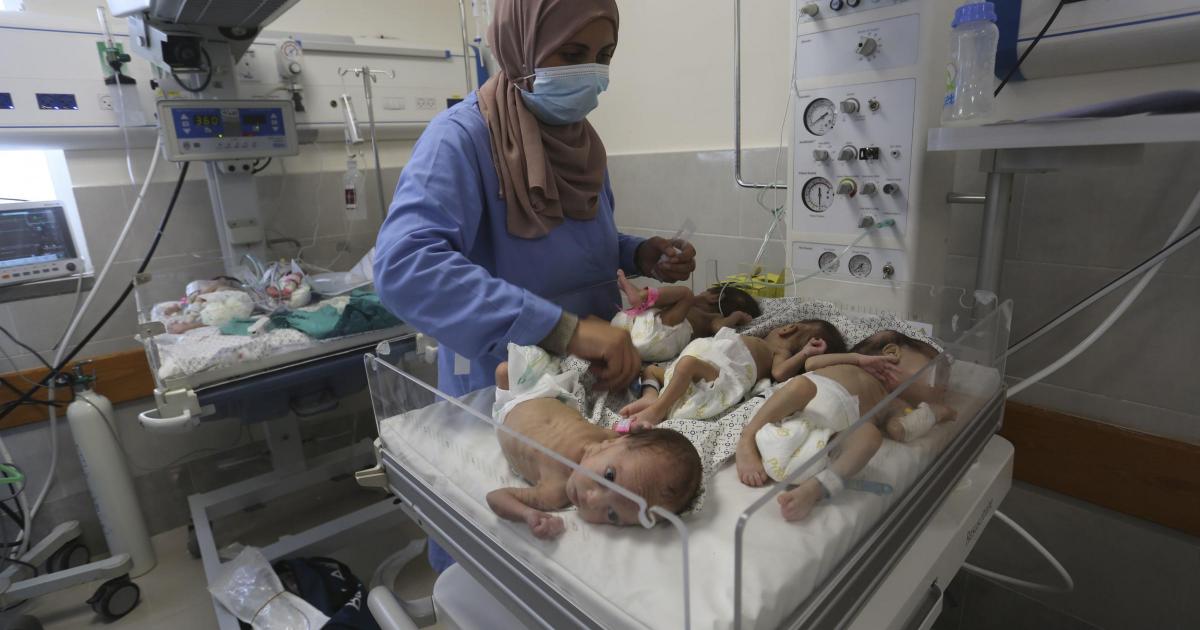 No incubators, medicine or milk: Gaza's premature babies are