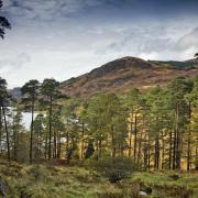 National Geographic praised the windswept slopes of Galloway and Southern Ayrshire