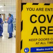 Covid-19 death rate after positive test plummets since pandemic peak