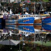 Stock image of fishing boats seen tied up at Tarbert Harbour in Scotland