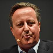 Tory MSP Rachael Hamilton claimed she would bring back David Cameron