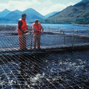 Pesticide limits for fish farms have been increased after pressure from the sector