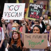 Protesters march through central London in campaign against animal cruelty