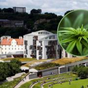 MSPs set up Scottish Parliament group to consider medical cannabis