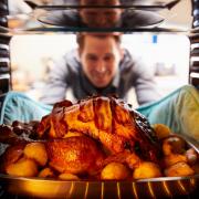 UK facing turkey shortage at Christmas due to Brexit crisis, farmers warn