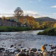Moorland at Langholm in Dumfries and Galloway is the subject of a second community buyout bid for the Tarras Valley Nature Reserve. The Langholm Initiative has launched a crowdfunder.