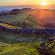 Hadrian's Wall has been damaged during the felling of the Sycamore Gap tree in Northumberland