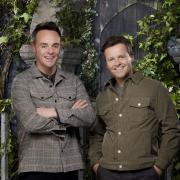 I'm A Celebrity co-hosts Ant McPartlin and Declan Donnelly. Photograph: ITV