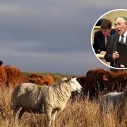 Donald Dewar was Scottish Secretary when he made the comments about farmers in private. He then became First Minister