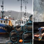 Jamie McMillan of Loch Fyne Seafarms lost 60% of his market after crippling costs forced him to stop selling premium shellfish to Europe