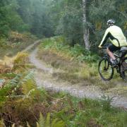 The best cycling routes in Scotland: Black Wood of Rannoch, Perthshire