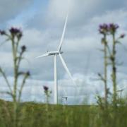 The number of low carbon and renewable energy jobs in Scotland fell by 900 in 2020