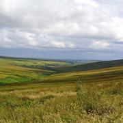 The community of Langholm in Dumfries and Galloway aims to raise £2.2 million to double the size of the vast new Tarras Valley Nature Reserve