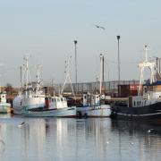 Trawlers moored at docks. Photo: PS