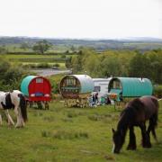 Scottish Government urged to apologise to Gypsy Travellers for historic injustices