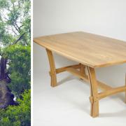 The Scottish Furniture Makers Association wants to create a number of items from the wood of an ash tree