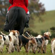 The Scottish Parliament passed the Hunting With Dogs (Scotland) Bill