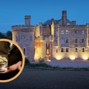 (Background) Dalhousie Castle. (Circle) A person with a gin glass. Credit: King's Hill