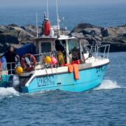 A new consultation proposes that tracking devices be fitted to all commercial fishing vessels under 12 metres long
