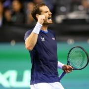 Tennis player, Andy Murray reacts as he plays Dmitry Popko in the Davis Cup