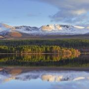 Loch Morlich in the Cairngorms National Park near Aviemore. Photo by: Sven-Erik Arndt/Arterra/Universal Images Group via Getty Images