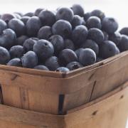 Fresh organic Maine blueberries